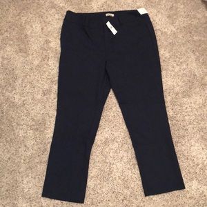 Loft Pants